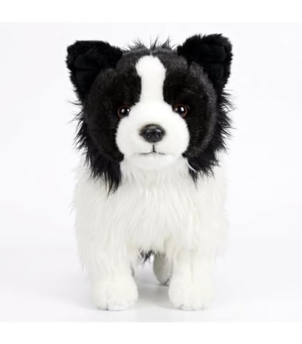Amazon.co.jp: Douglas Chase Border Collie ブラック/ホワイト 16 (41